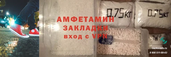 гидра Алексин
