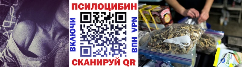 Галлюциногенные грибы Psilocybine cubensis Купить закладки Балашов